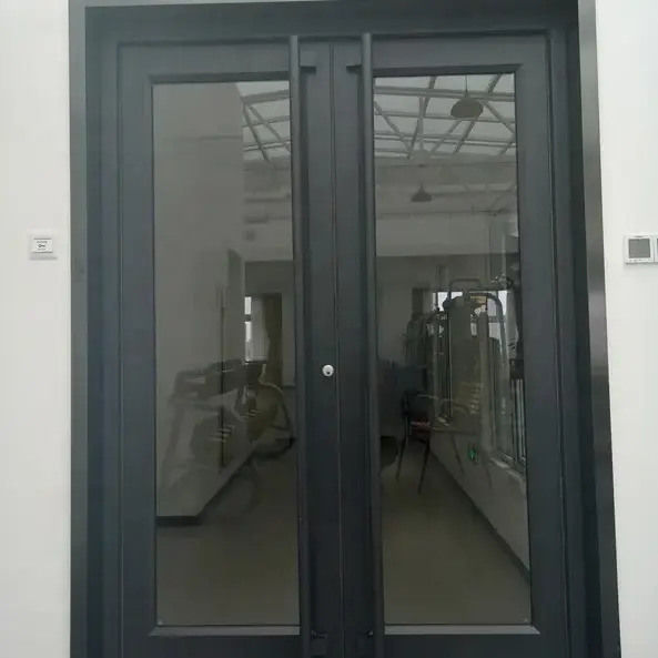 OEM UPVC Edelstahl Aluminium Doppelschwing Türen KFC Tür 1,2 mm Dicke