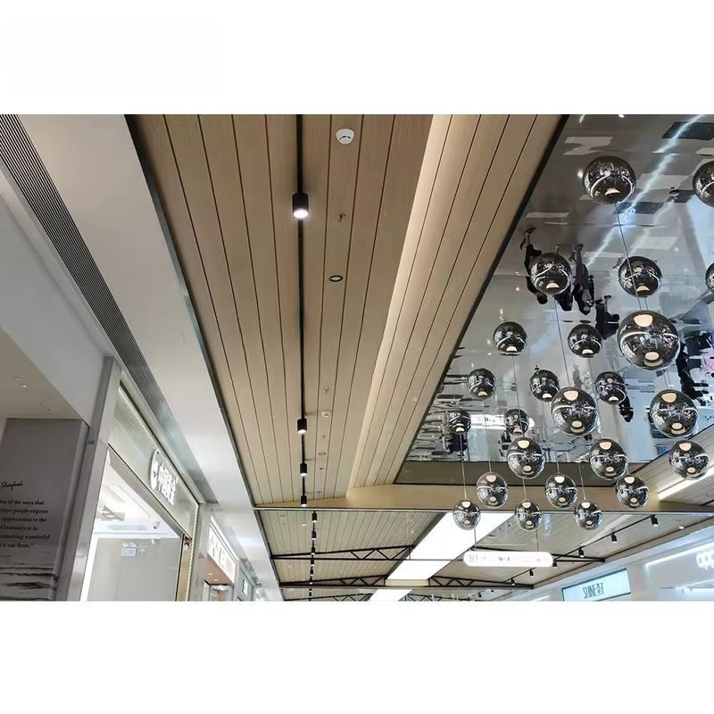 Anodisiertes/Pulverbeschichtetes Außenwandsystem mit hoher Haltbarkeit in verschiedenen Farben